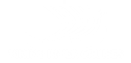 Viking River Cruises